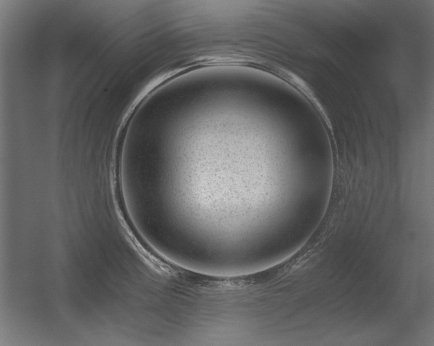 X0000056321195200509021555