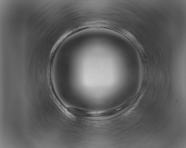 X0000056321196200509021555
