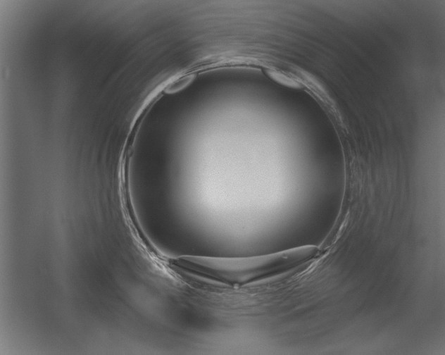 X0000056321198200509021555