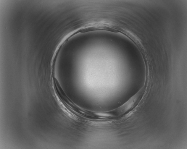 X0000056321200200509021555