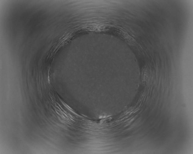X0000056321202200509021554