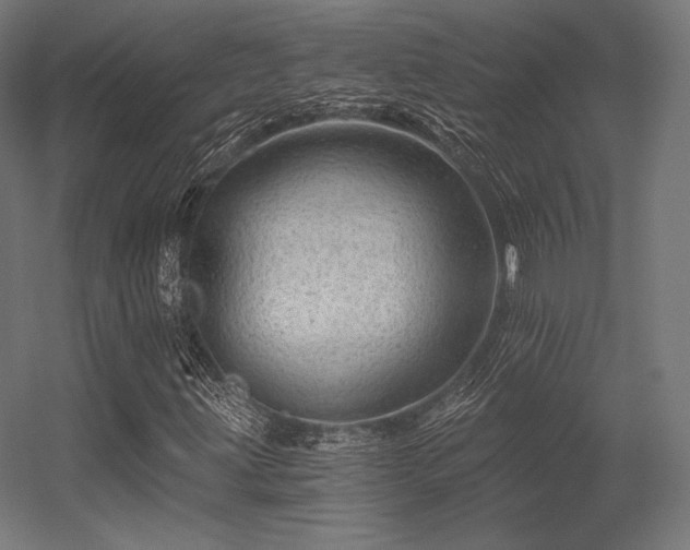 X0000056321203200509021554