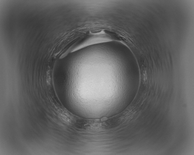 X0000056321204200509021554