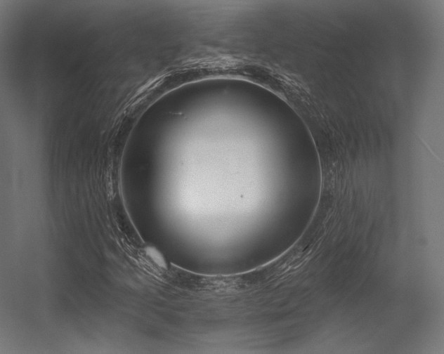 X0000056321205200509021554