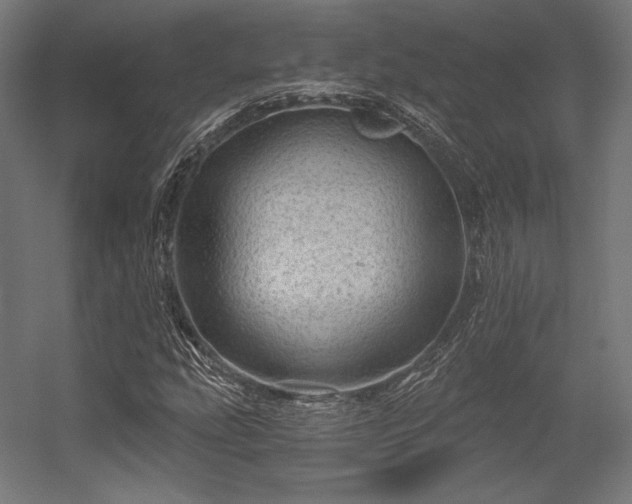 X0000056321207200509021554