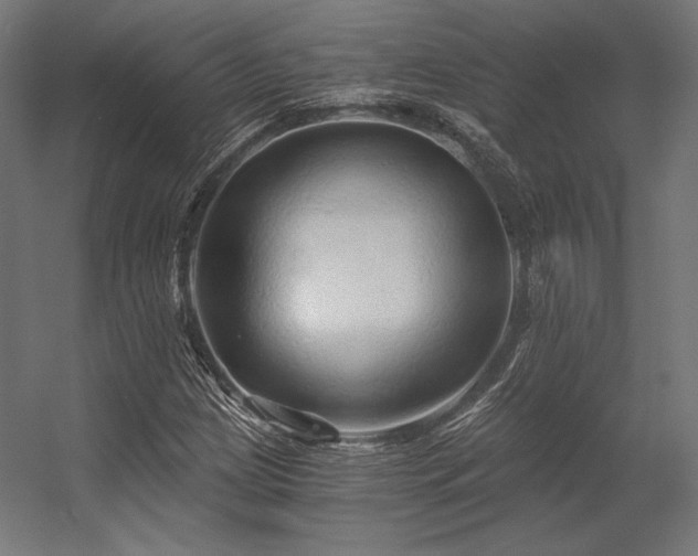 X0000056321209200509021554