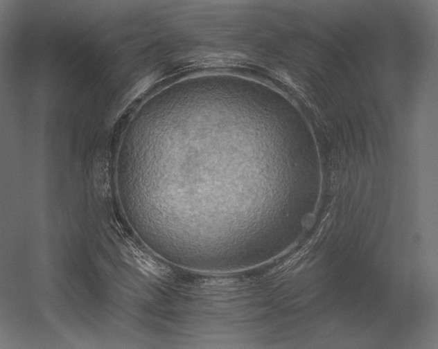 X0000056321211200509021554