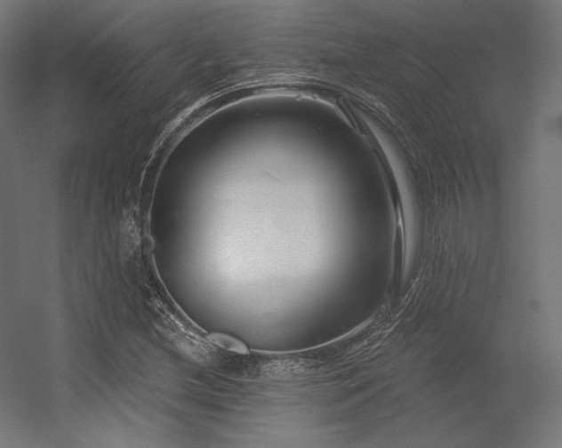 X0000056321212200509021554
