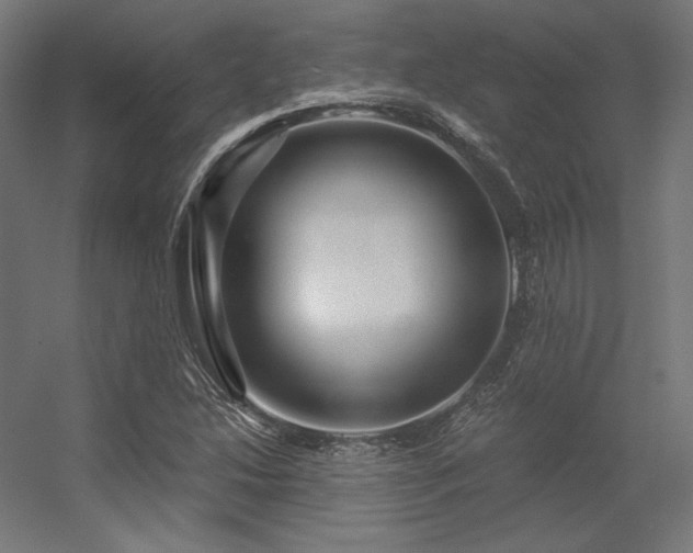 X0000056321214200509021554