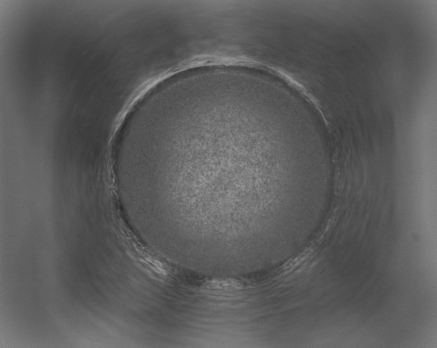 X0000056321215200509021554