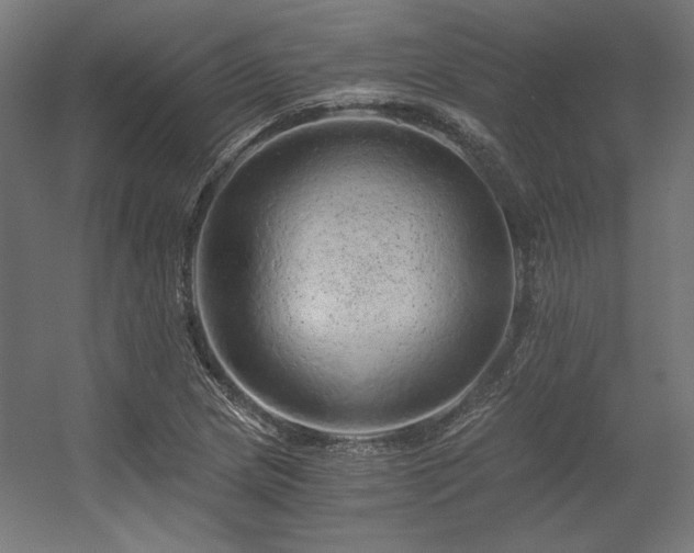 X0000056321217200509021554