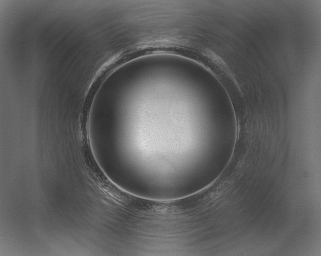 X0000056321218200509021554