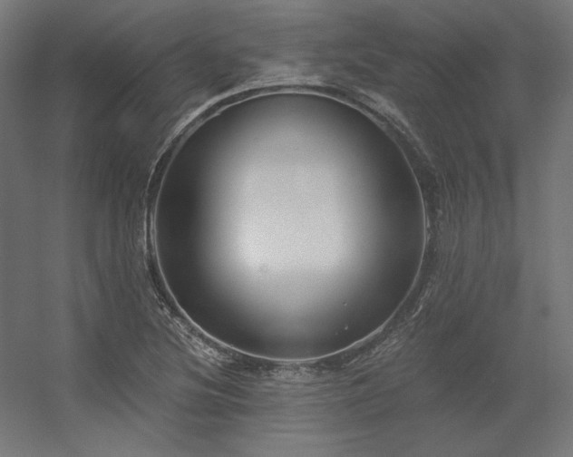 X0000056321220200509021554