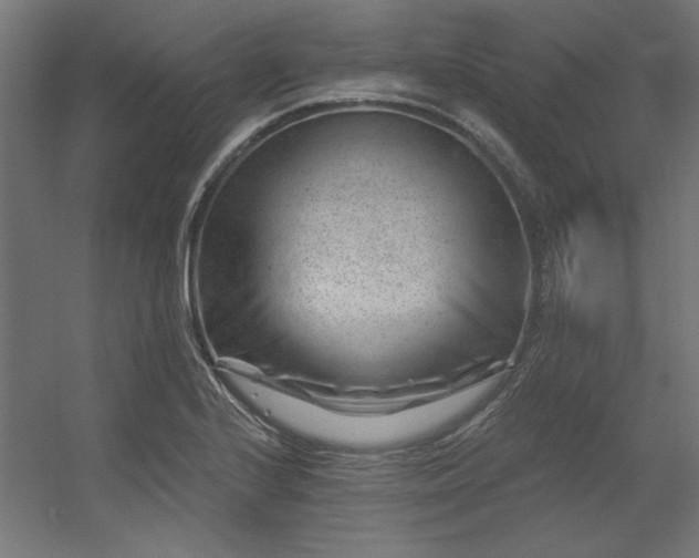 X0000056321224200509021554