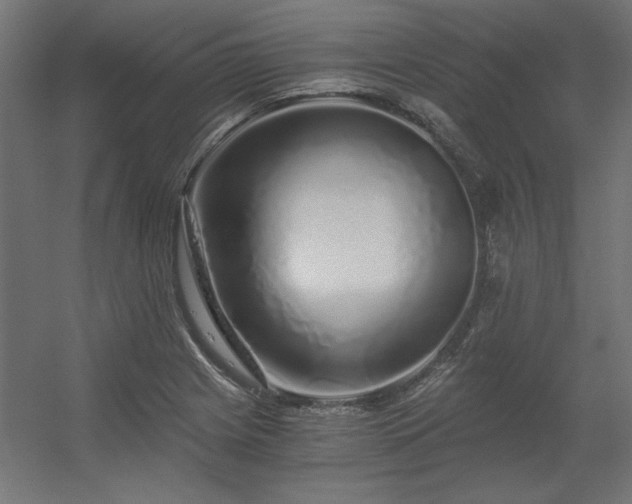 X0000056321225200509021554