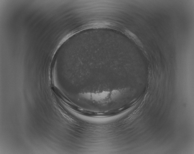 X0000056321226200509021554