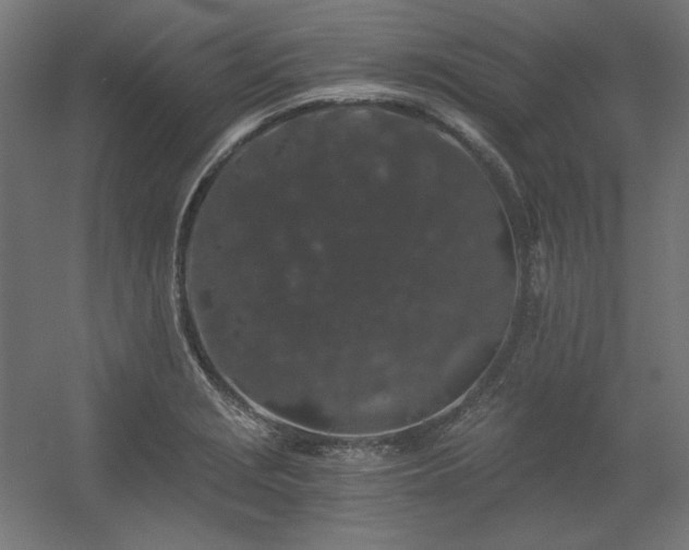 X0000056321229200509021554