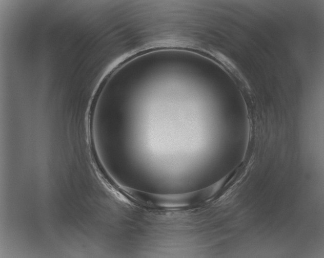 X0000056321238200509021555
