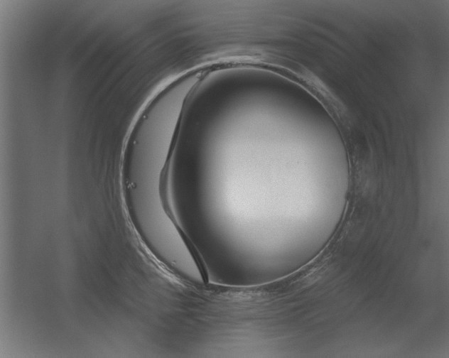 X0000056321240200509021555