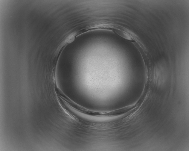 X0000056321241200509021555