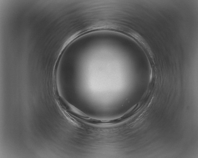 X0000056321242200509021555