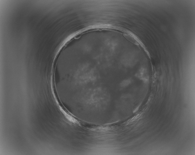 X0000056321245200509021555