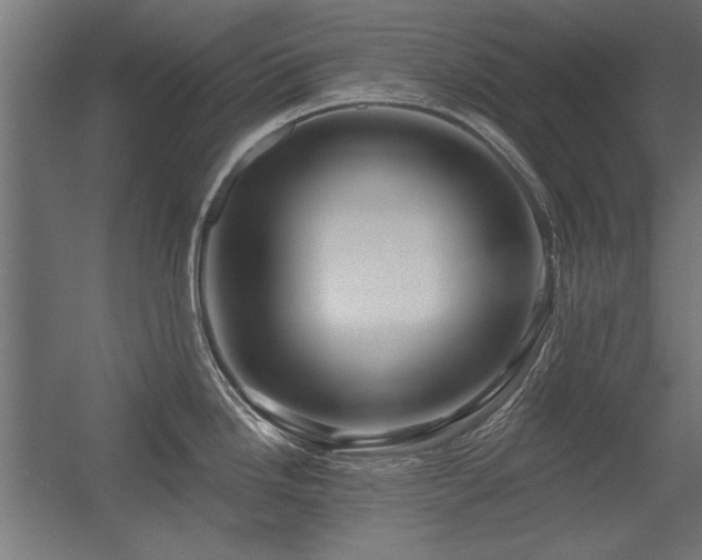 X0000056321246200509021555