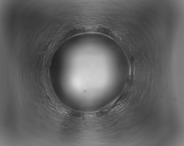 X0000056321249200509021554