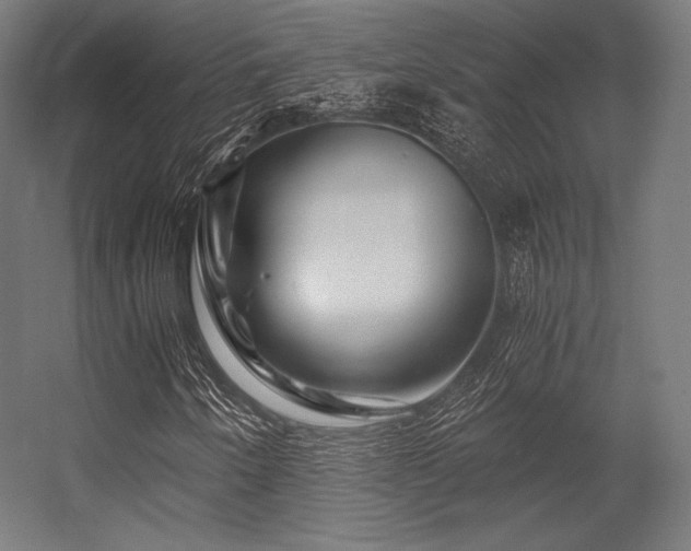 X0000056321250200509021554
