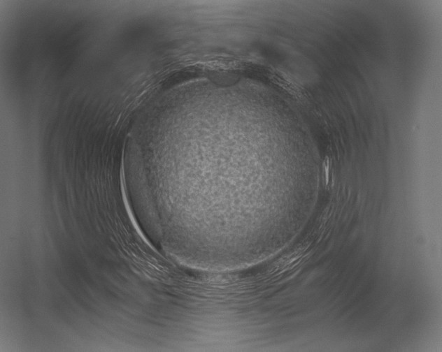 X0000056321251200509021554