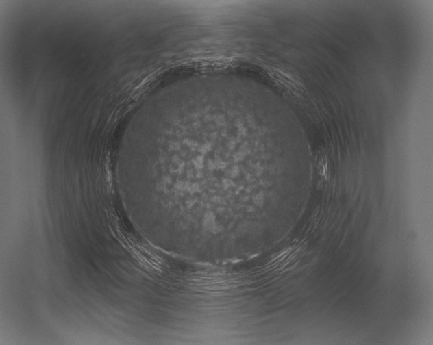 X0000056321252200509021554