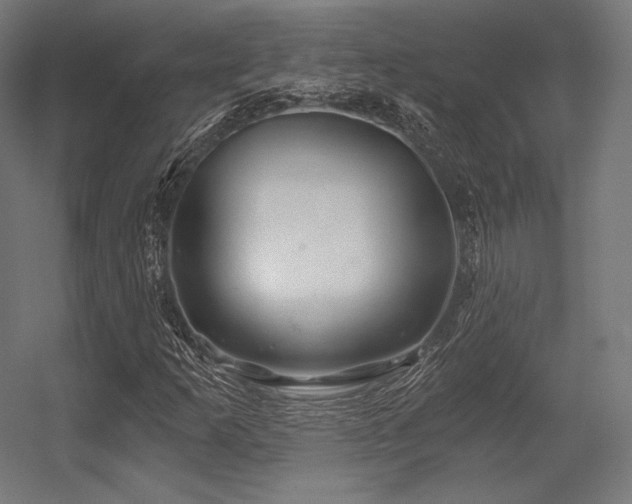 X0000056321253200509021554