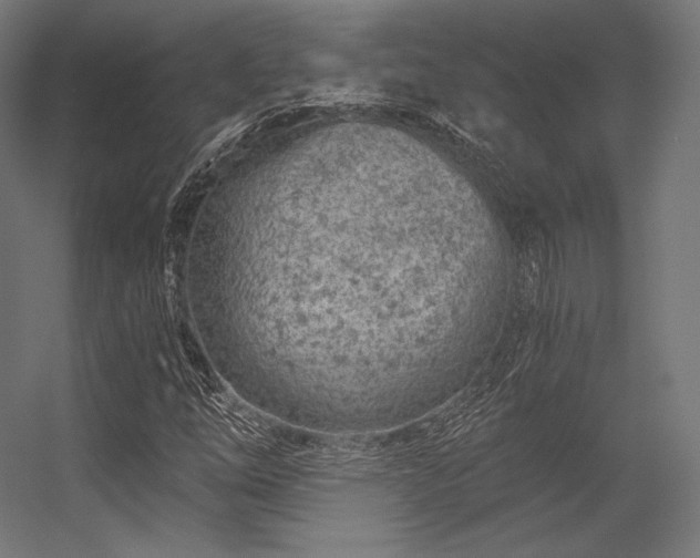 X0000056321254200509021554