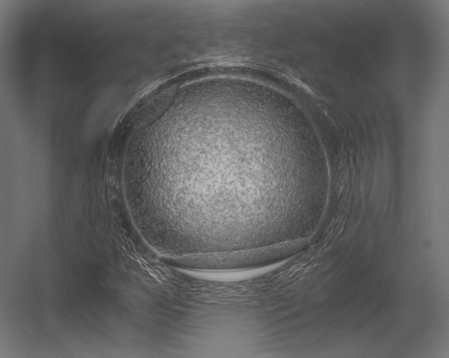 X0000056321255200509021554