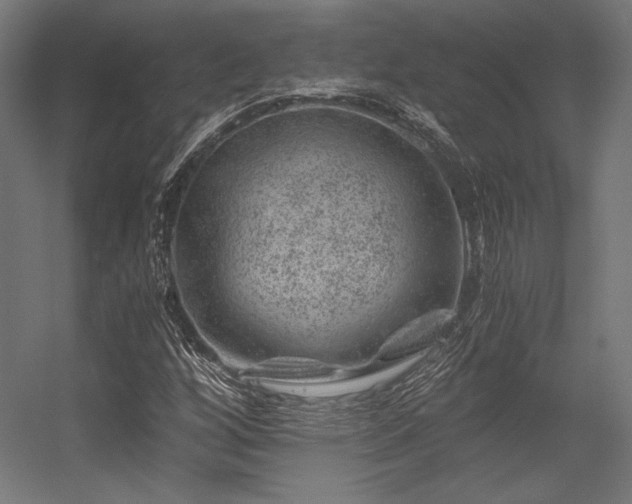 X0000056321256200509021554