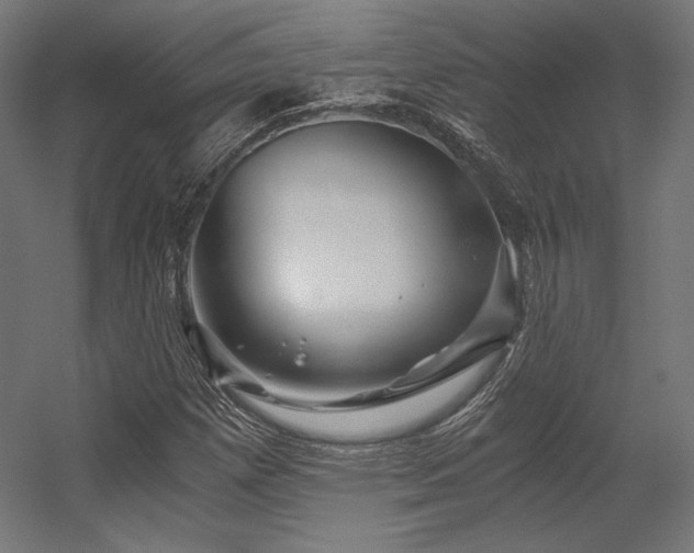 X0000056321257200509021554