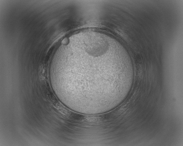 X0000056321258200509021554