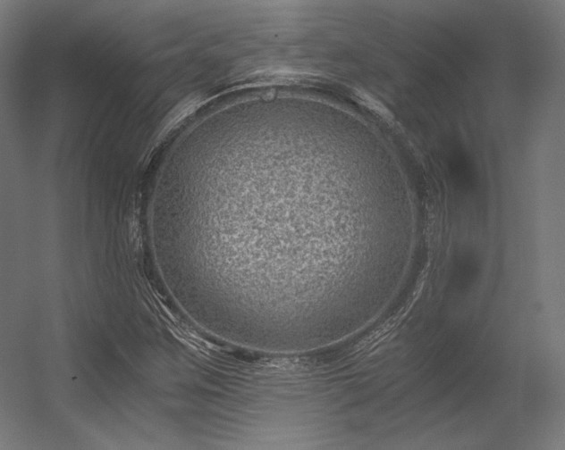 X0000056321259200509021554