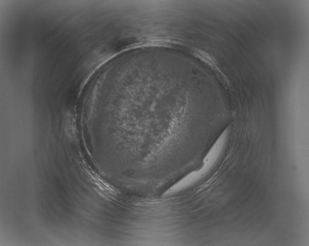 X0000056321260200509021554
