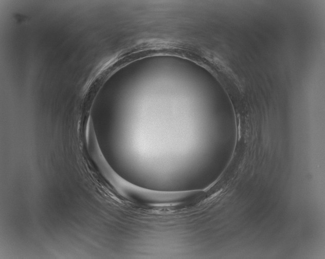 X0000056321261200509021554