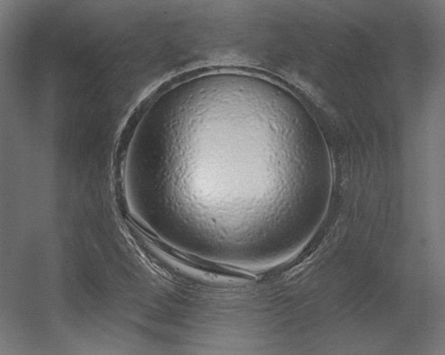 X0000056321264200509021554