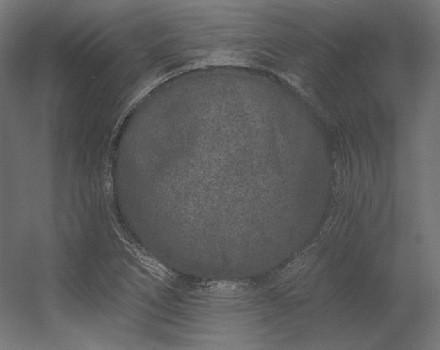 X0000056321266200509021554