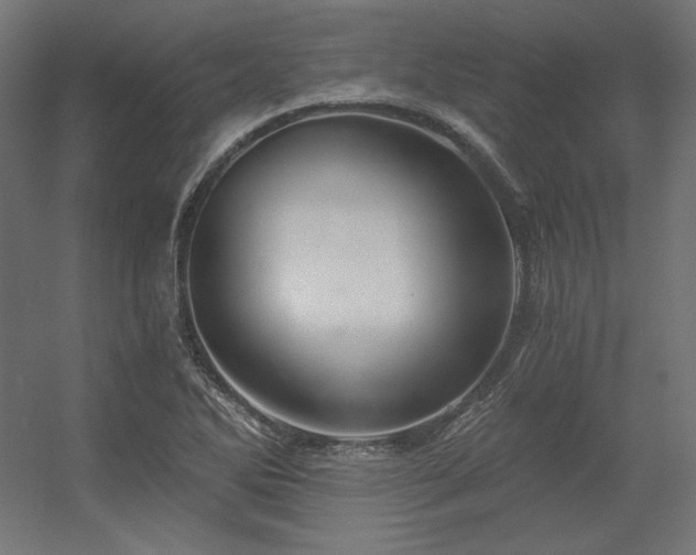 X0000056321270200509021554