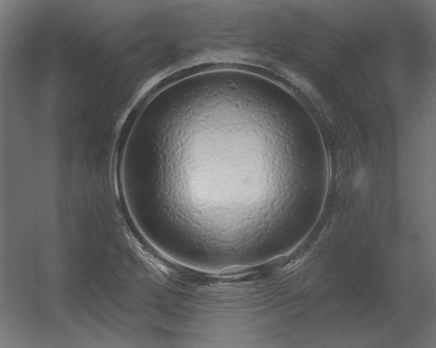 X0000056321272200509021554