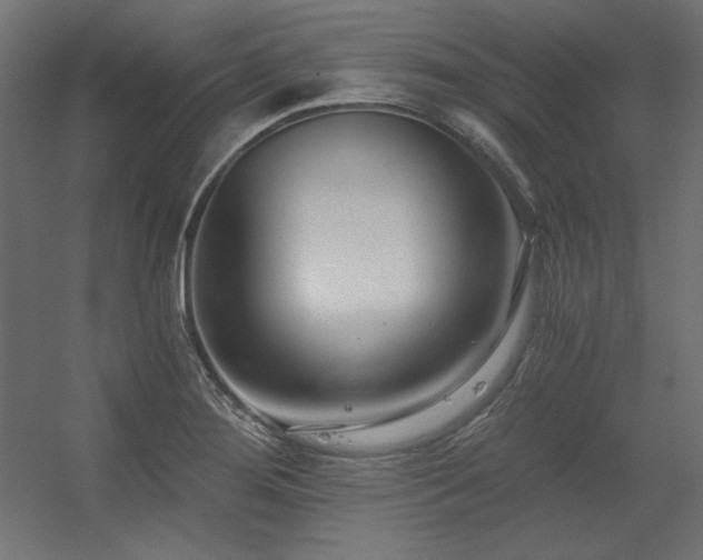 X0000056321276200509021553