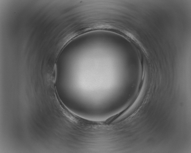 X0000056321281200509021553