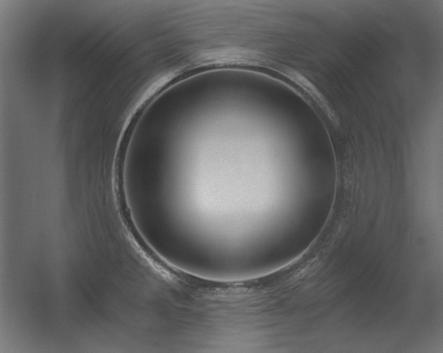 X0000056321285200509021553