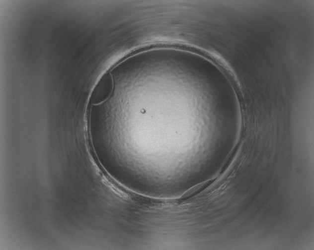 X0000056321287200509021553