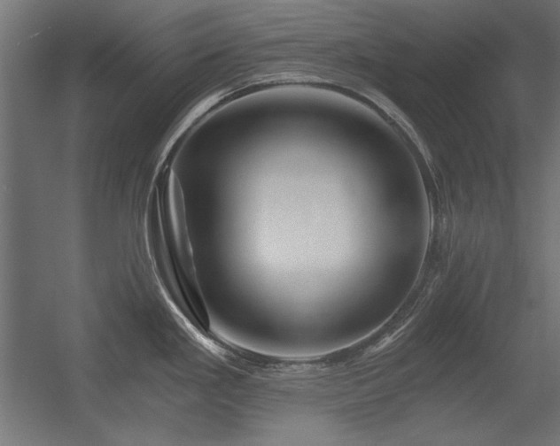X0000056321293200509021553