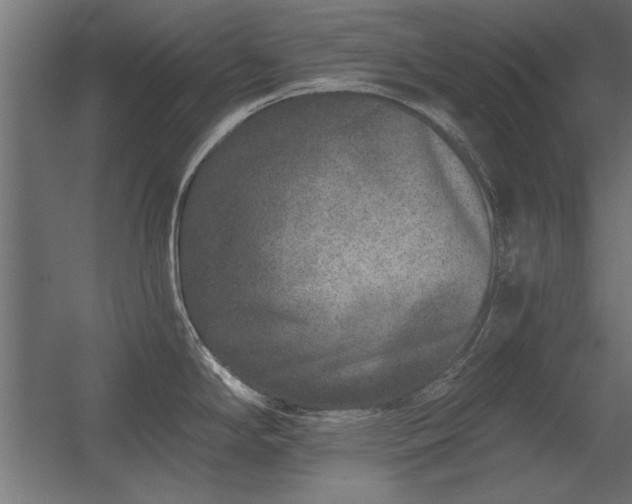 X0000056321294200509021553